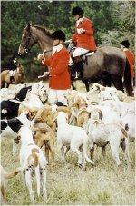 Belle Meade Fox Hunt