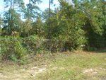 Corbin Street , Thomson, GA