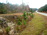 East Warrenton Hwy, Warrenton, GA