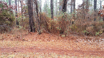 Mary Road, Thomson, GA