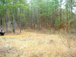Rousseau Creek Road , Thomson, GA