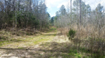 Whiteoak Road,  Thomson