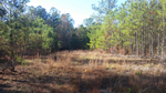 1363 Wilson Road Warrenton, GA