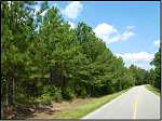 Rousseau Creek Road 